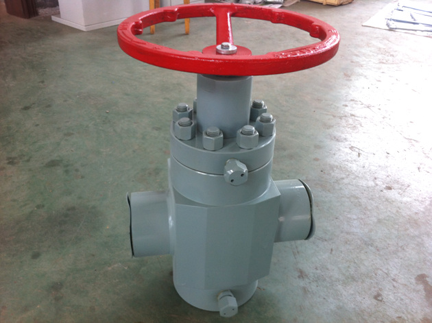 2-9-16-3M Threaded Gate Valve